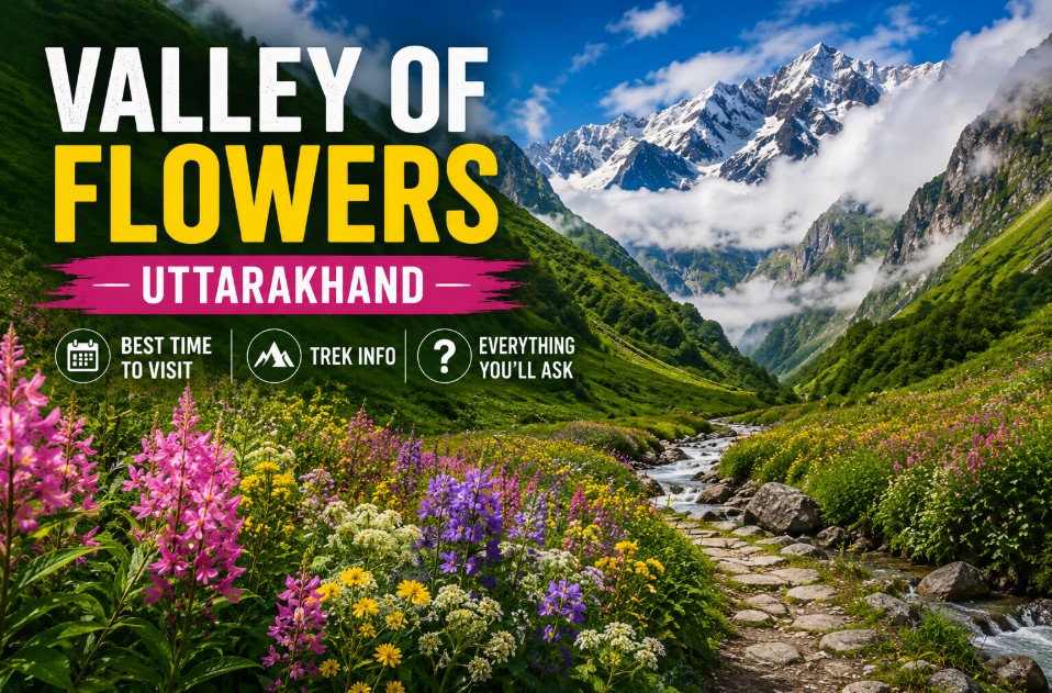 Blooming alpine flowers in Valley of Flowers National Park, Uttarakhand, with snow-capped Himalayan peaks in the background