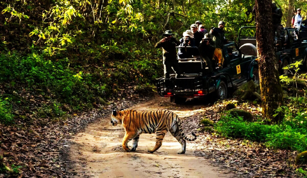 Jim Corbett Weather in October